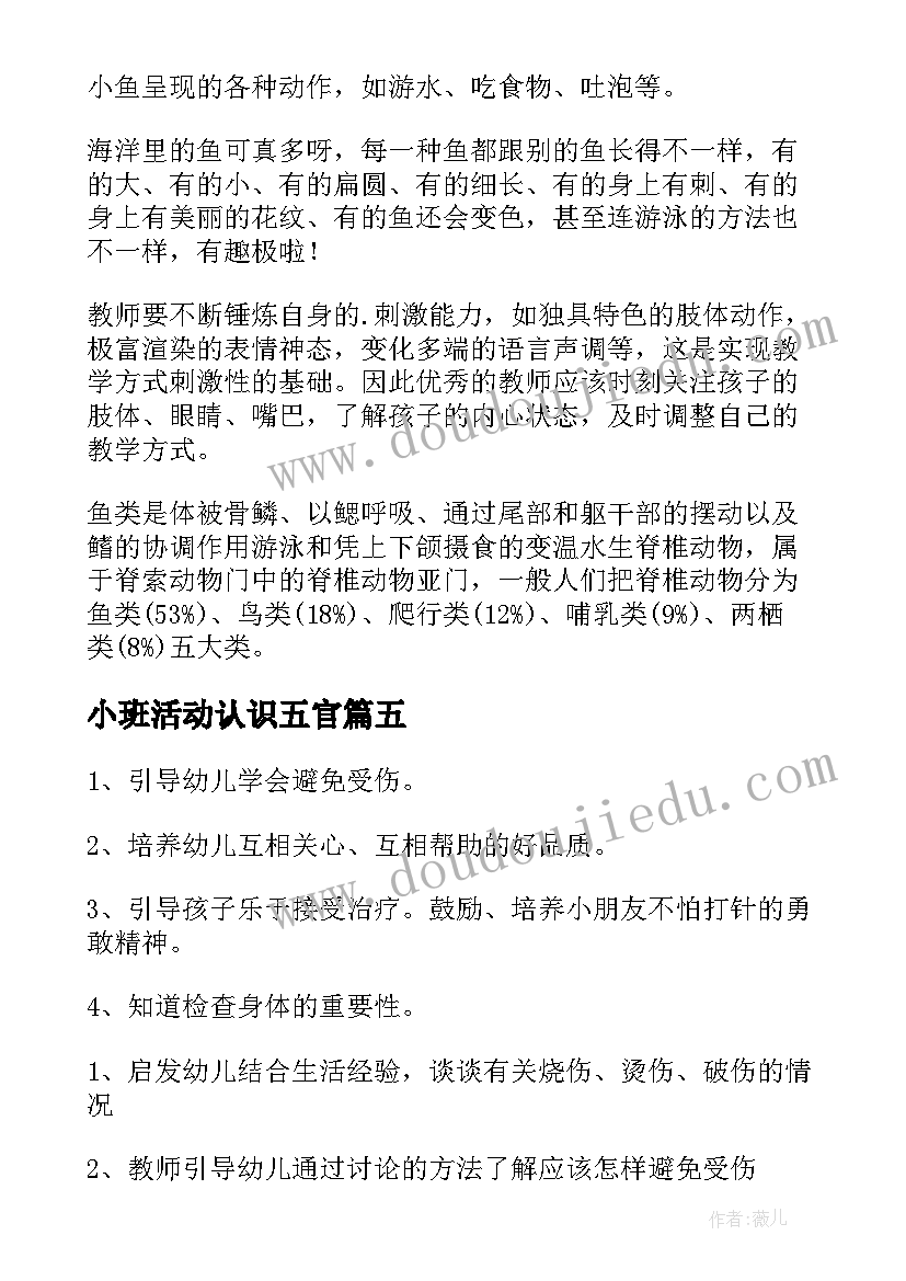 2023年小班活动认识五官 小班教案认识五官(模板6篇)