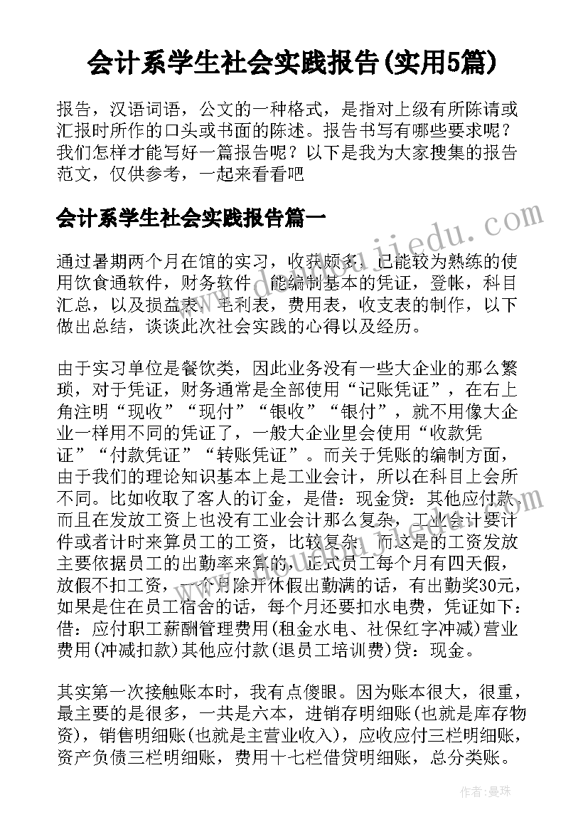 会计系学生社会实践报告(实用5篇)