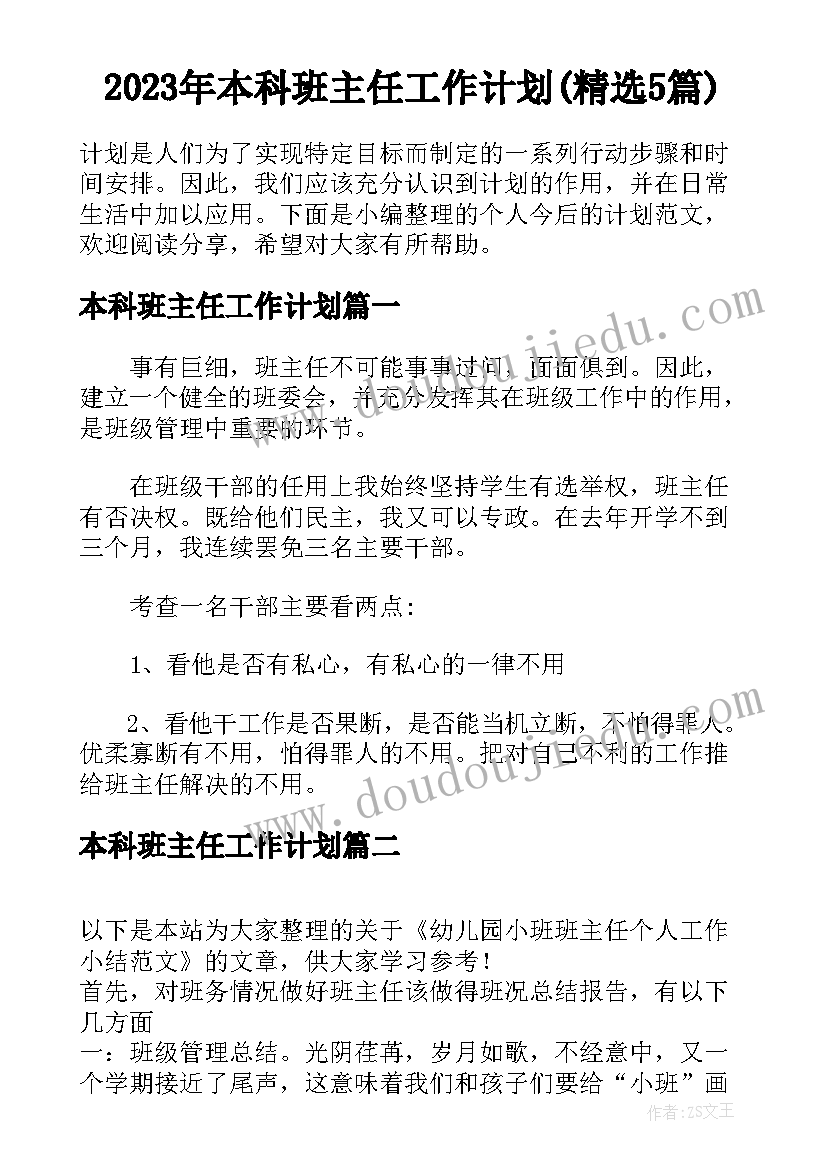 2023年本科班主任工作计划(精选5篇)