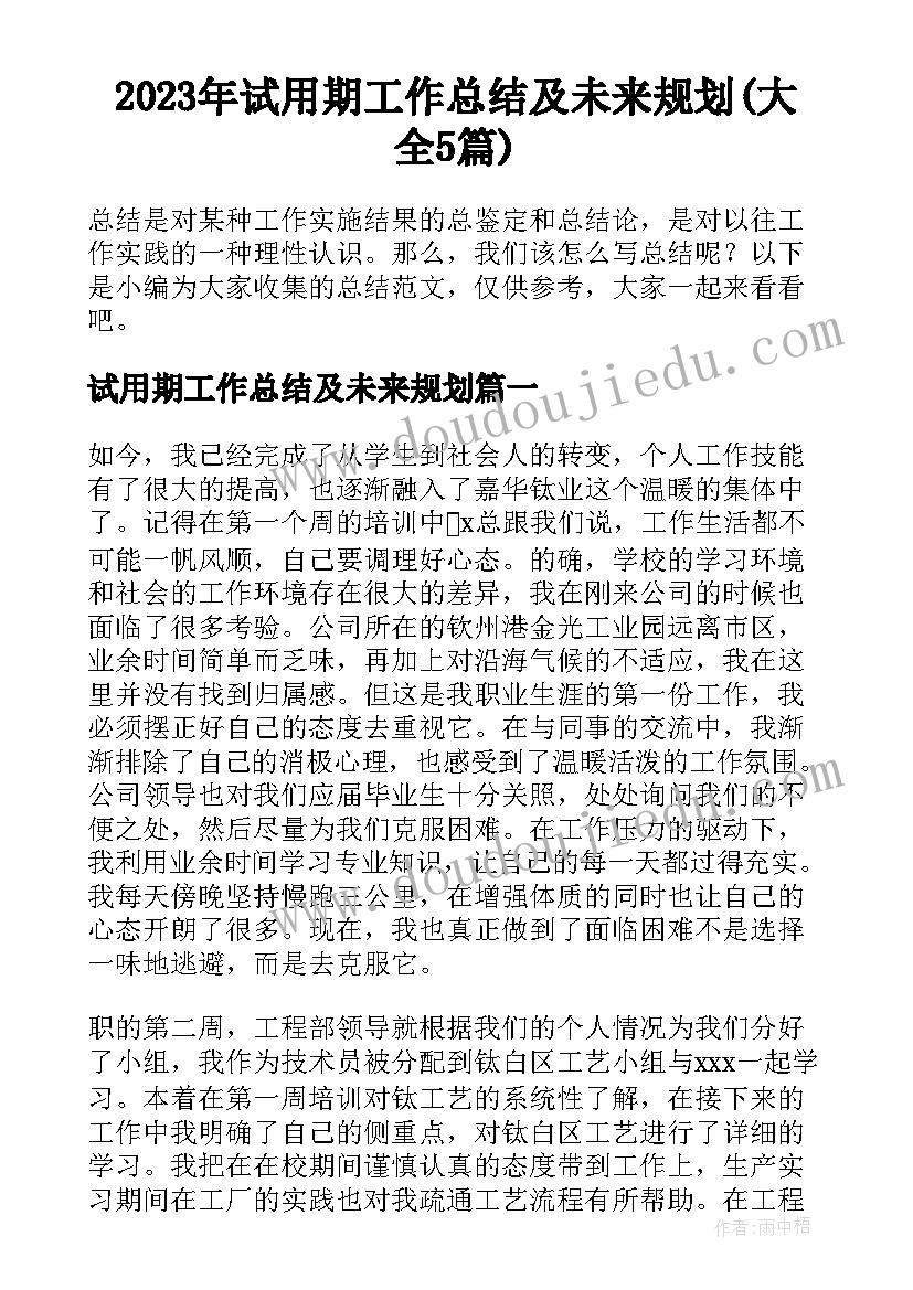 2023年试用期工作总结及未来规划(大全5篇)