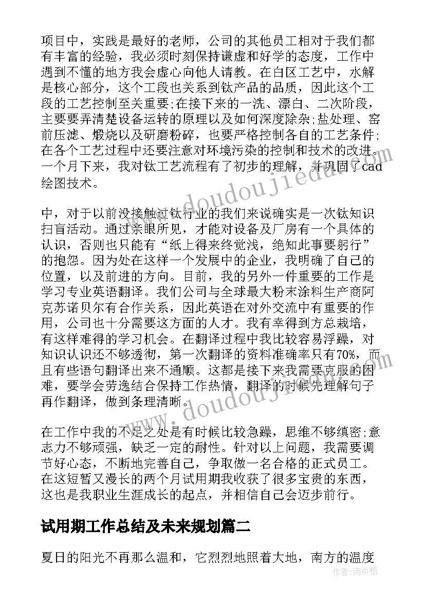 2023年试用期工作总结及未来规划(大全5篇)