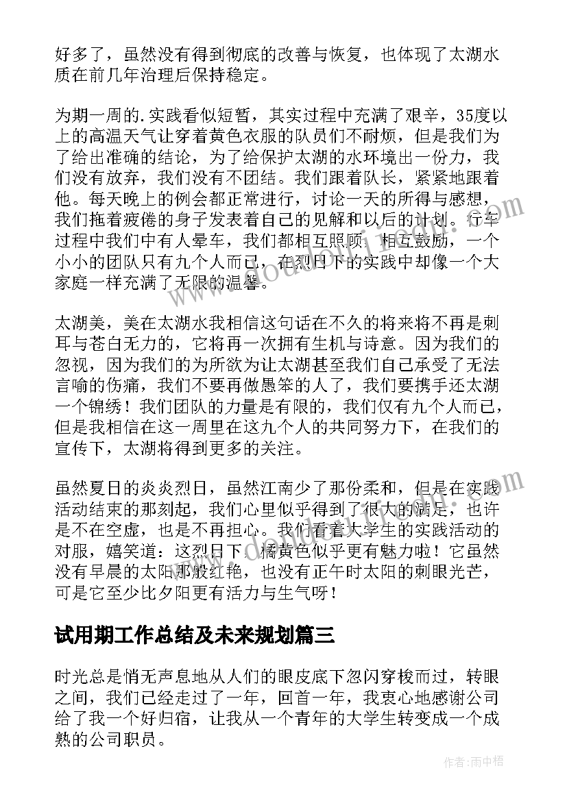 2023年试用期工作总结及未来规划(大全5篇)