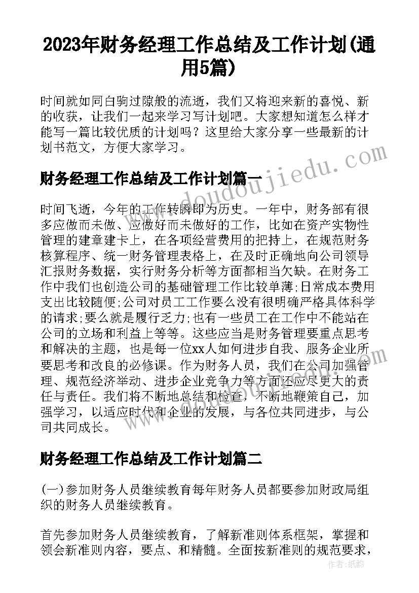 2023年财务经理工作总结及工作计划(通用5篇)