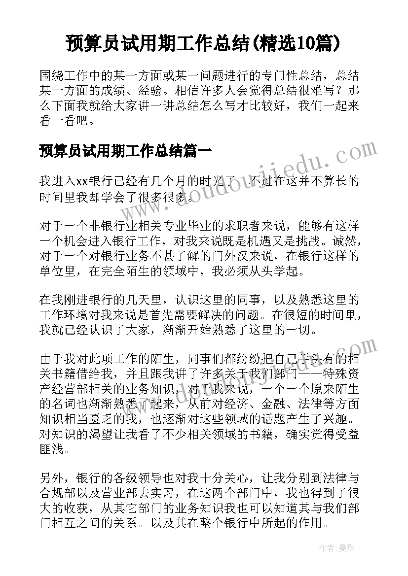 预算员试用期工作总结(精选10篇)