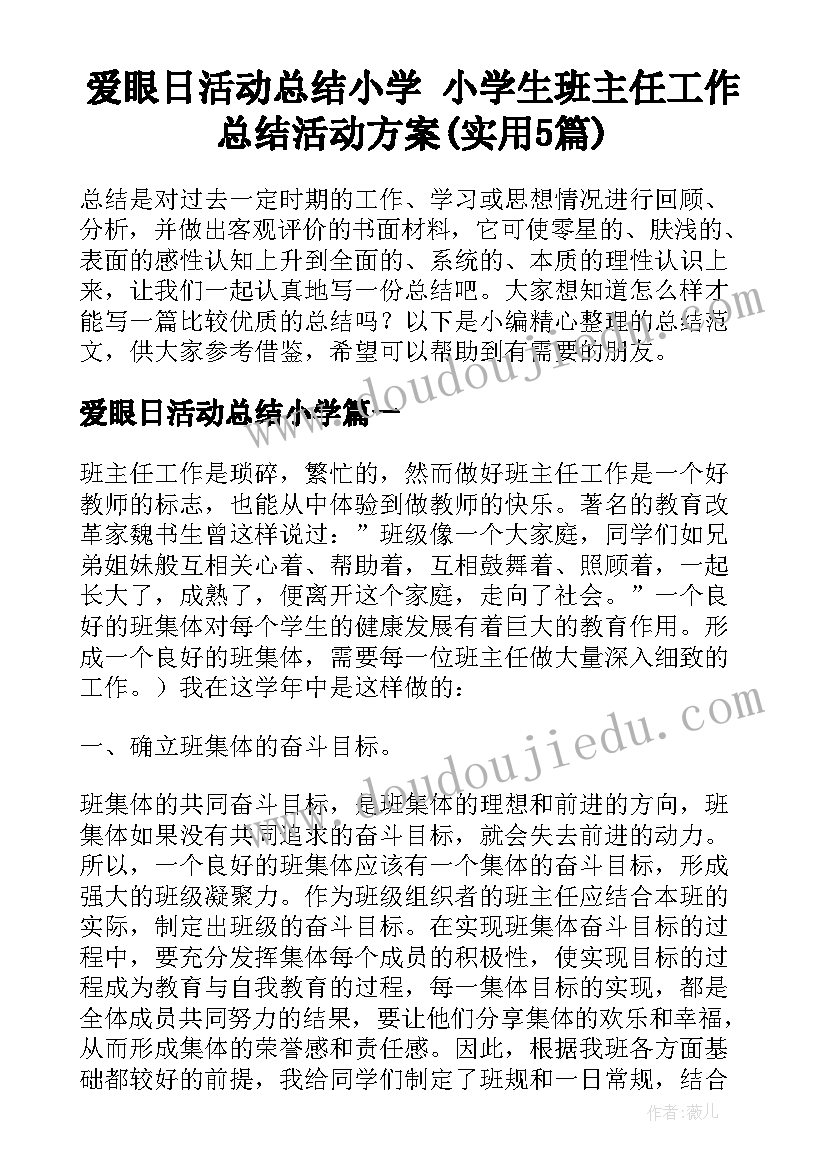 爱眼日活动总结小学 小学生班主任工作总结活动方案(实用5篇)