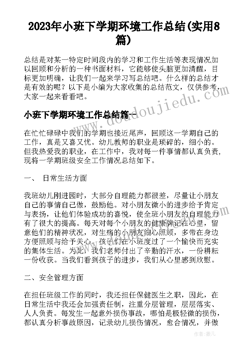 2023年小班下学期环境工作总结(实用8篇)