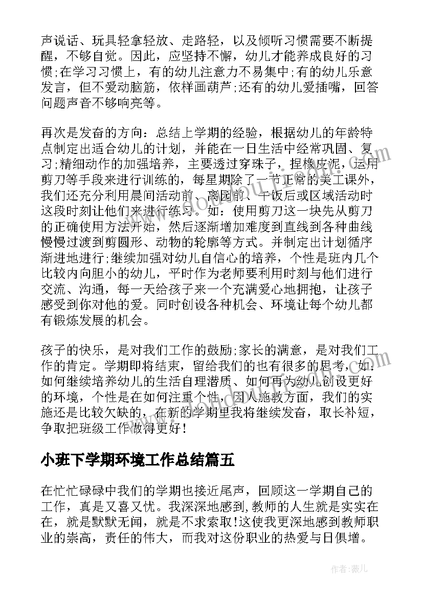 2023年小班下学期环境工作总结(实用8篇)