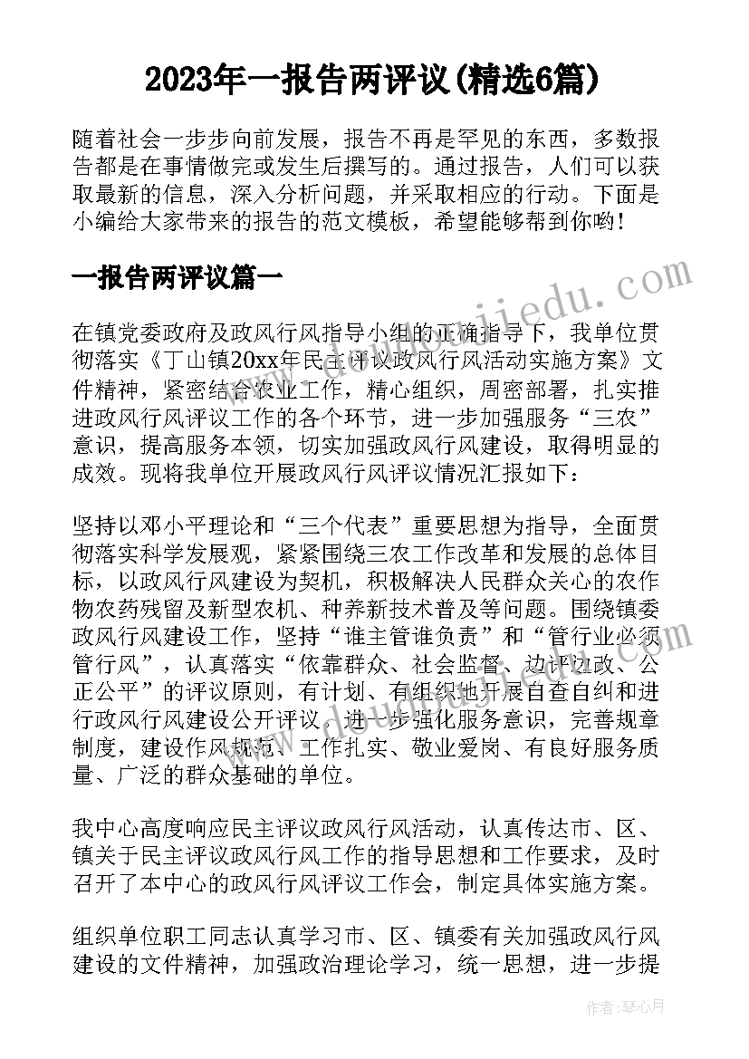 2023年一报告两评议(精选6篇)