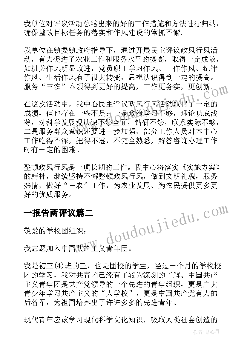 2023年一报告两评议(精选6篇)