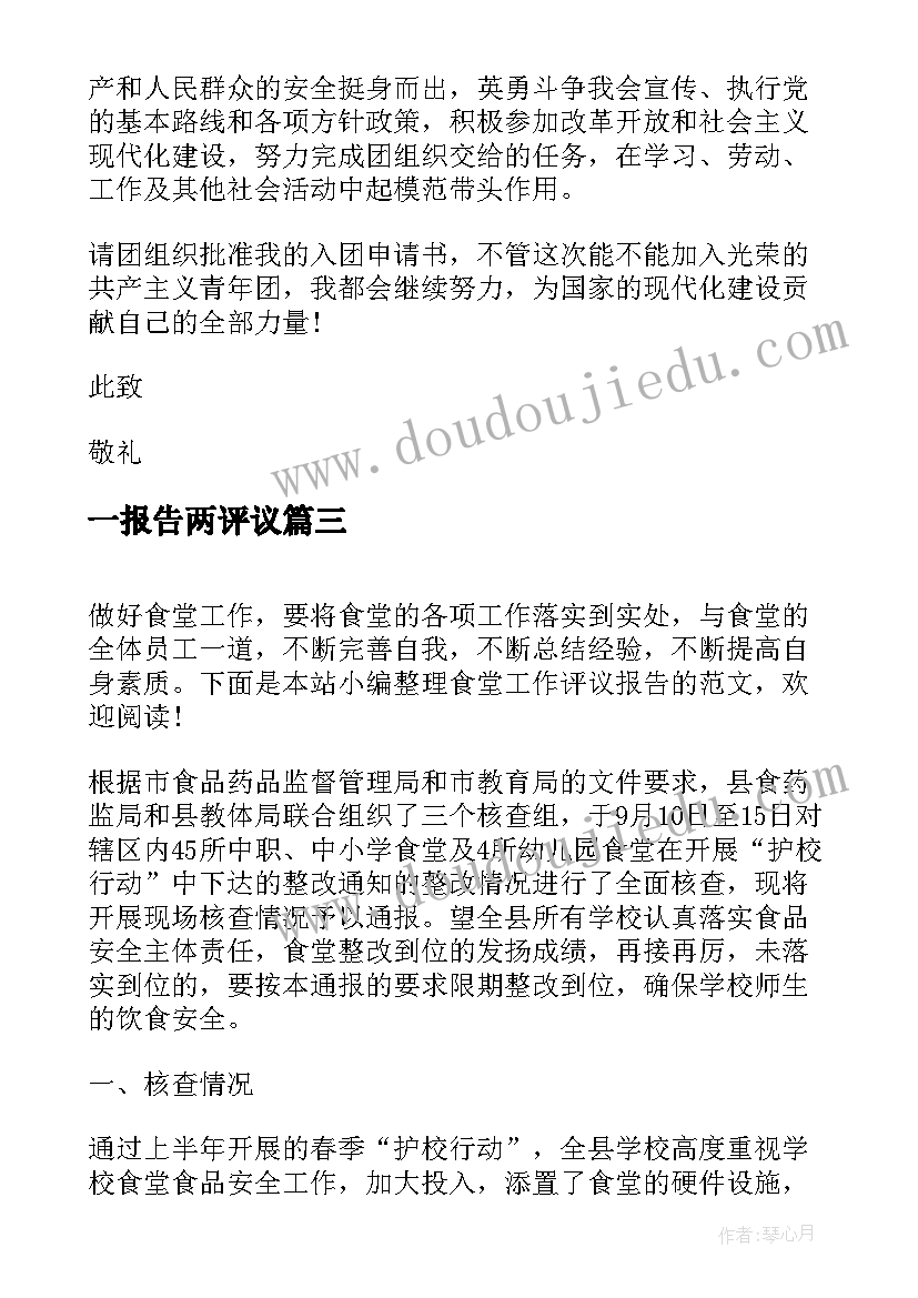 2023年一报告两评议(精选6篇)