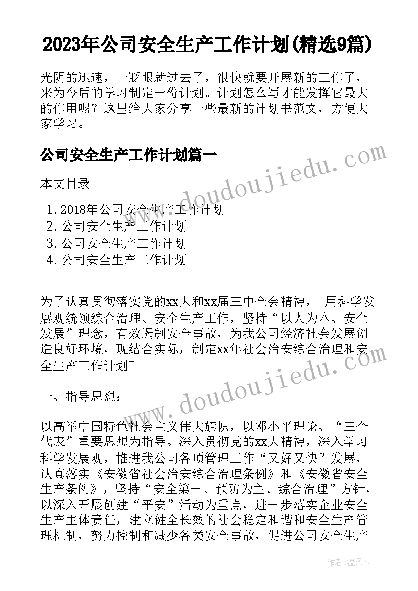 2023年公司安全生产工作计划(精选9篇)