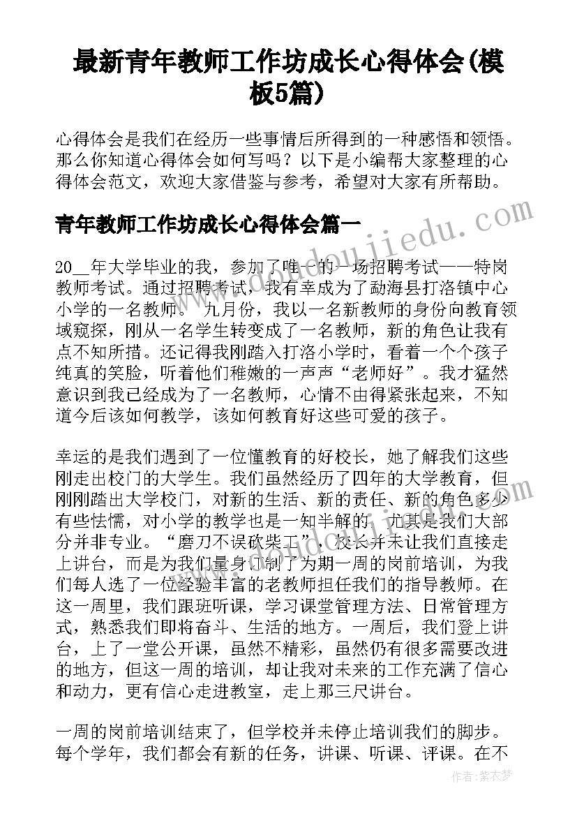 最新青年教师工作坊成长心得体会(模板5篇)