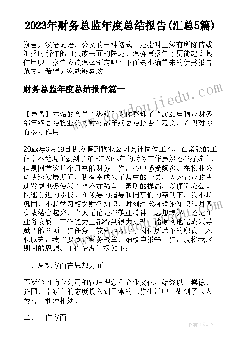 2023年财务总监年度总结报告(汇总5篇)