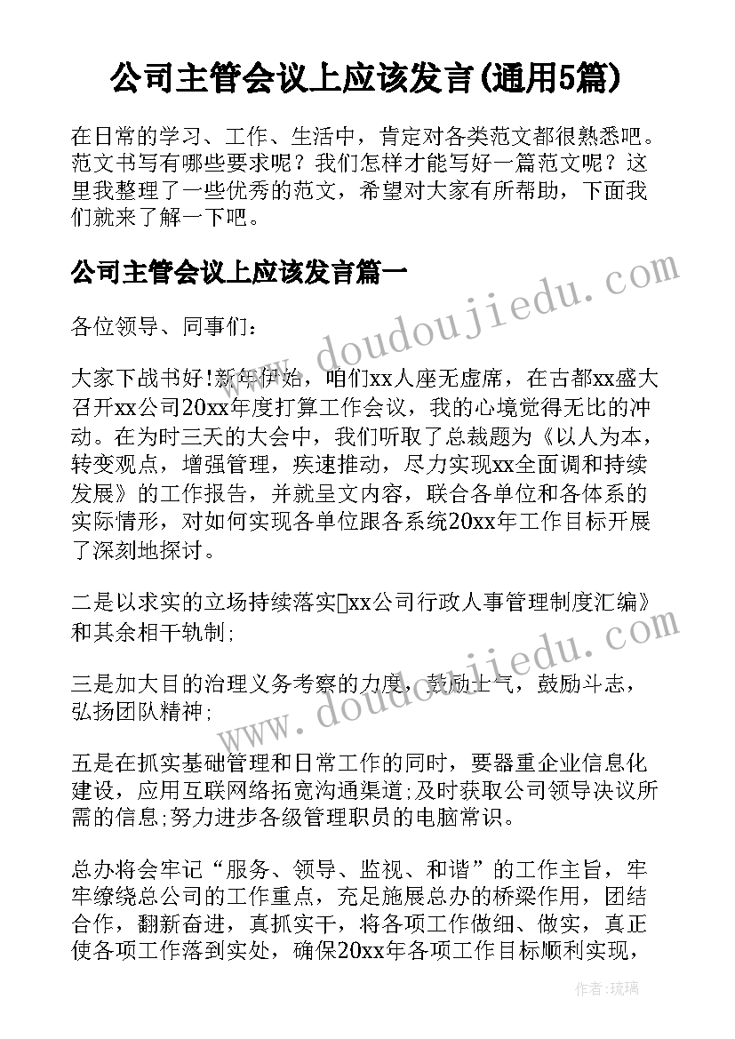 公司主管会议上应该发言(通用5篇)