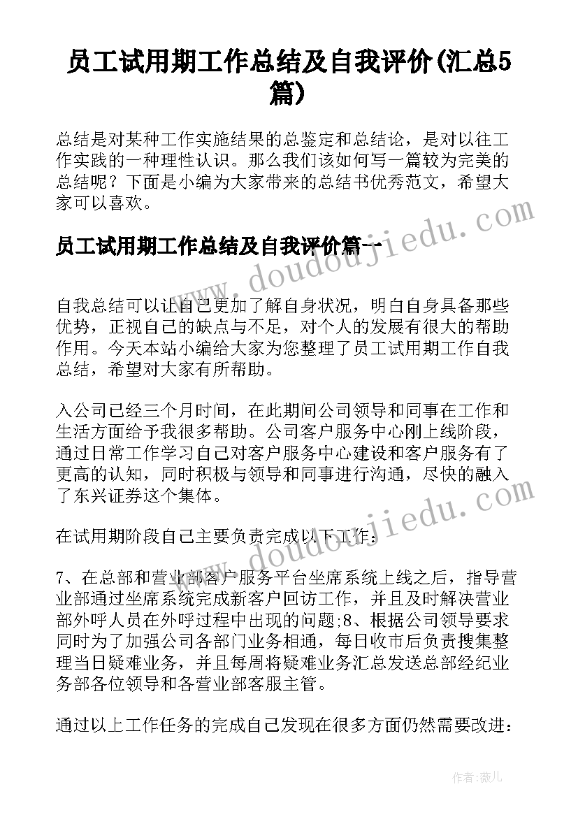 员工试用期工作总结及自我评价(汇总5篇)