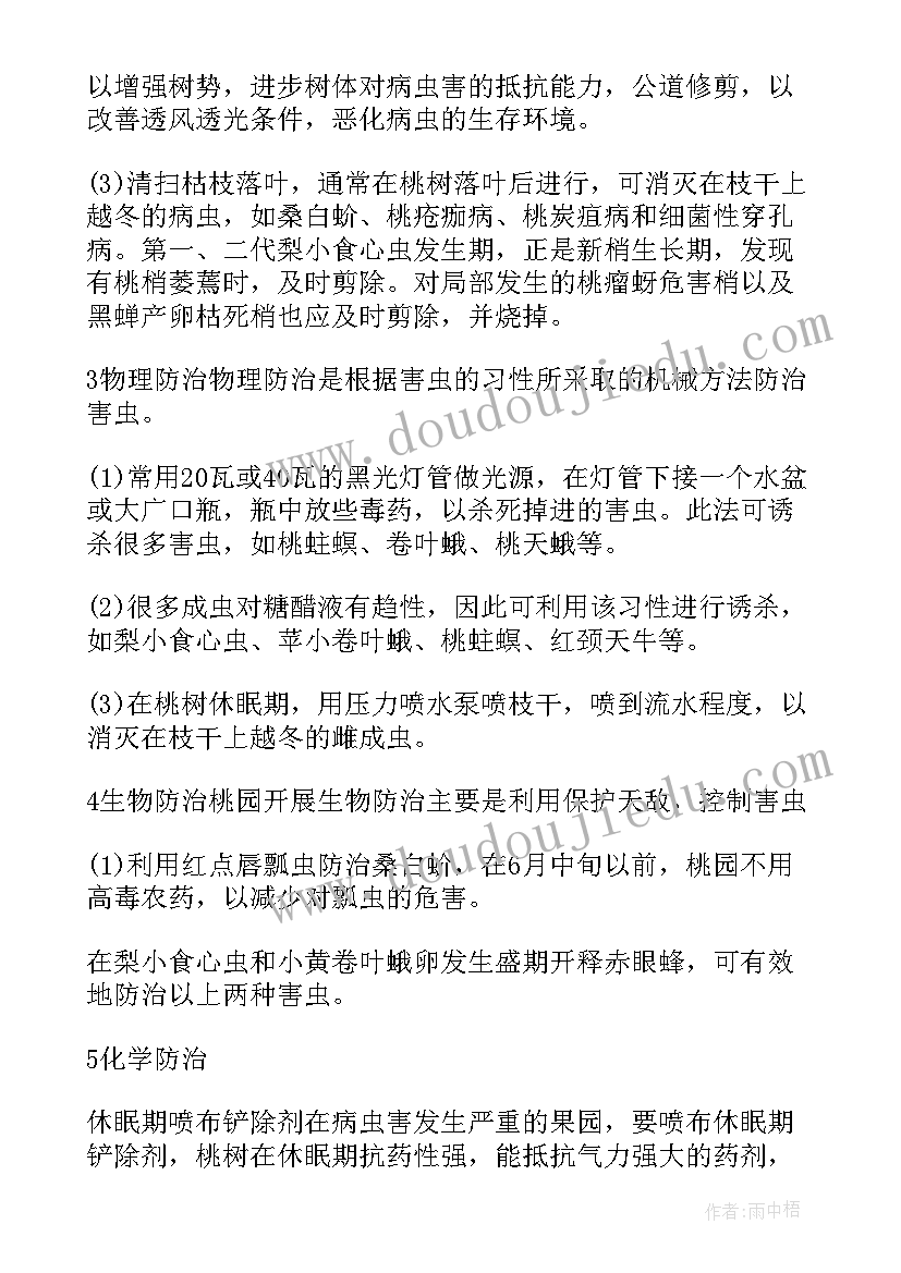 蔬菜生产技术实训总结(大全5篇)