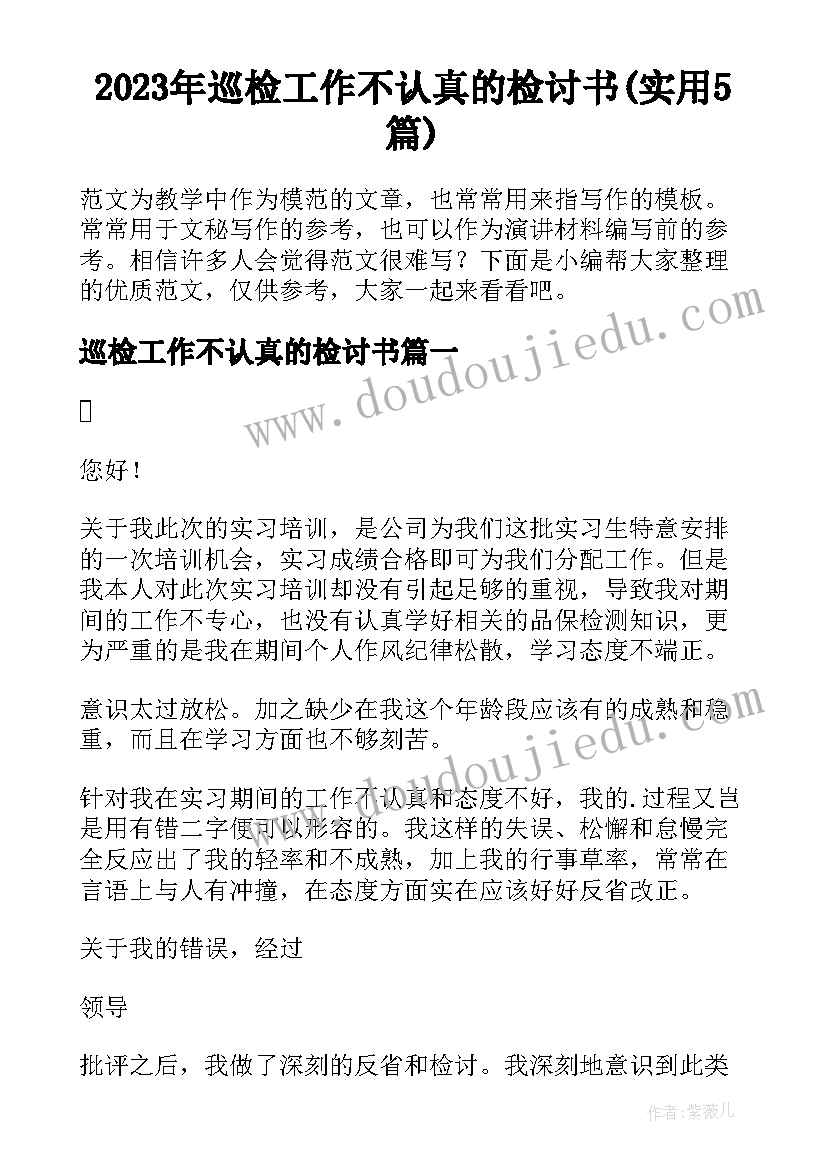 2023年巡检工作不认真的检讨书(实用5篇)