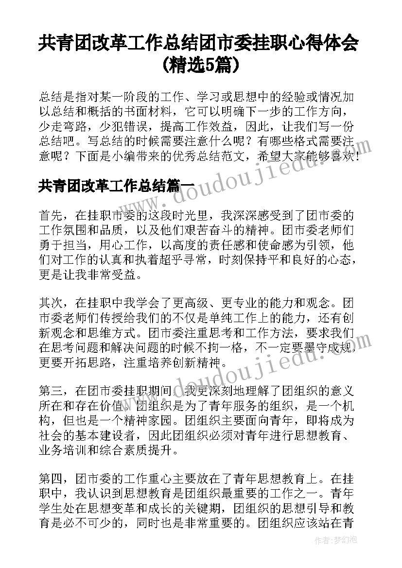 共青团改革工作总结 团市委挂职心得体会(精选5篇)