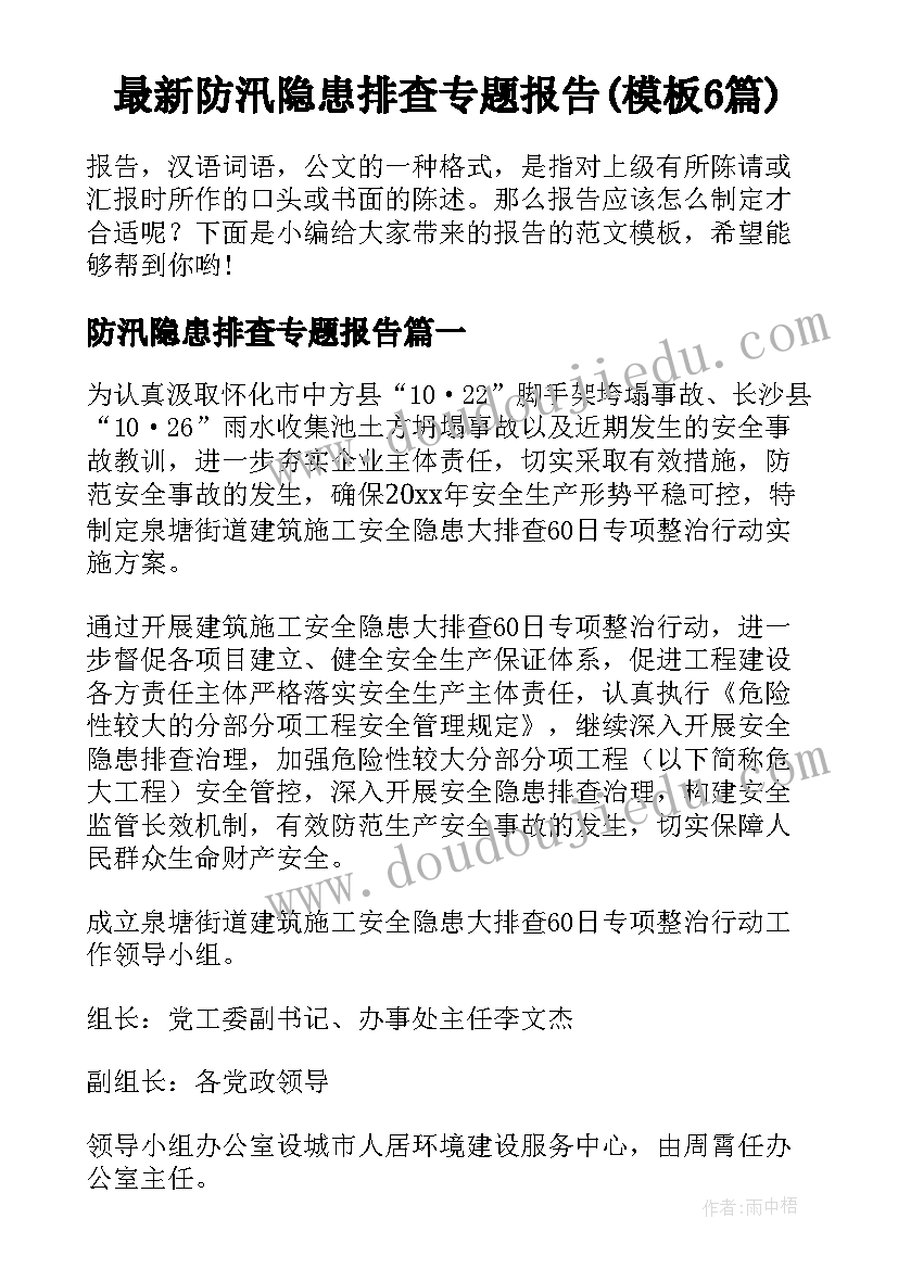 最新防汛隐患排查专题报告(模板6篇)