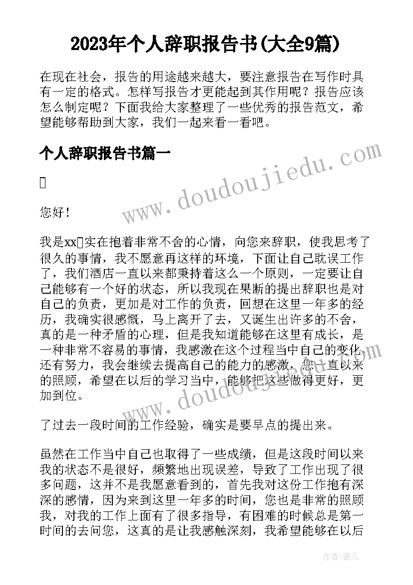 2023年个人辞职报告书(大全9篇)