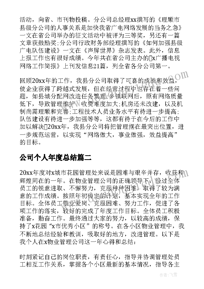 2023年公司个人年度总结(模板10篇)