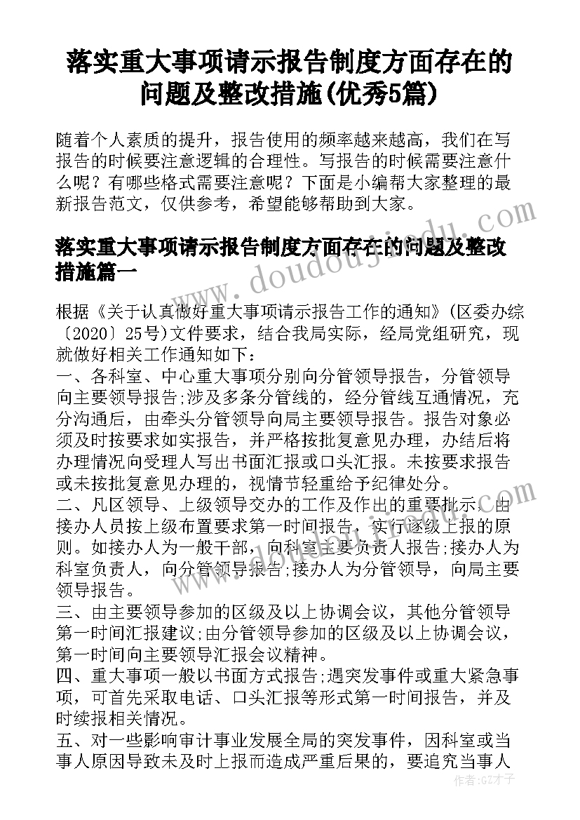 落实重大事项请示报告制度方面存在的问题及整改措施(优秀5篇)