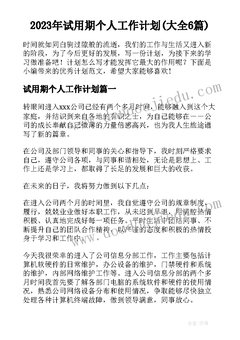 2023年试用期个人工作计划(大全6篇)