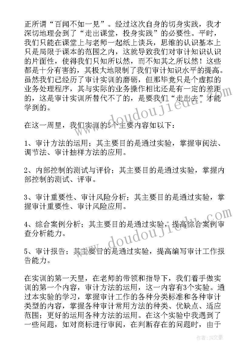 最新审计个人工作心得体会(模板5篇)