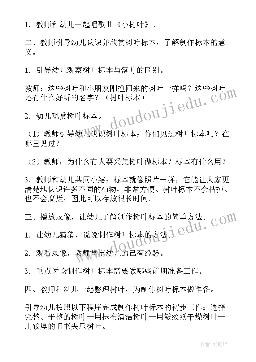 最新中班科学沉与浮教案说课稿(精选6篇)