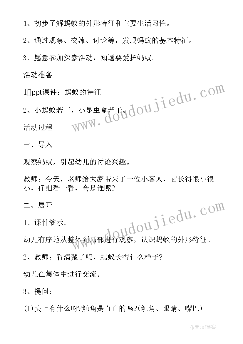 2023年中班科学教案有哪些 中班科学蚂蚁的触角有作用的教案(模板5篇)