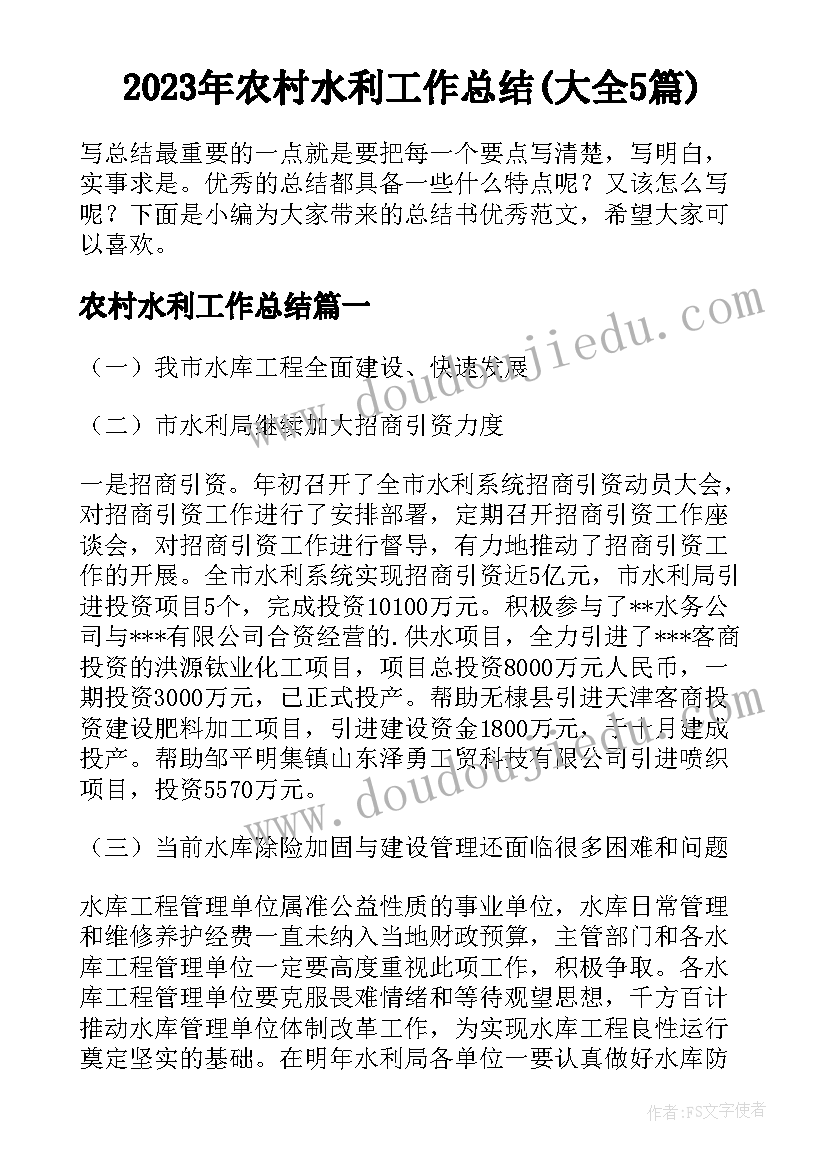 2023年农村水利工作总结(大全5篇)