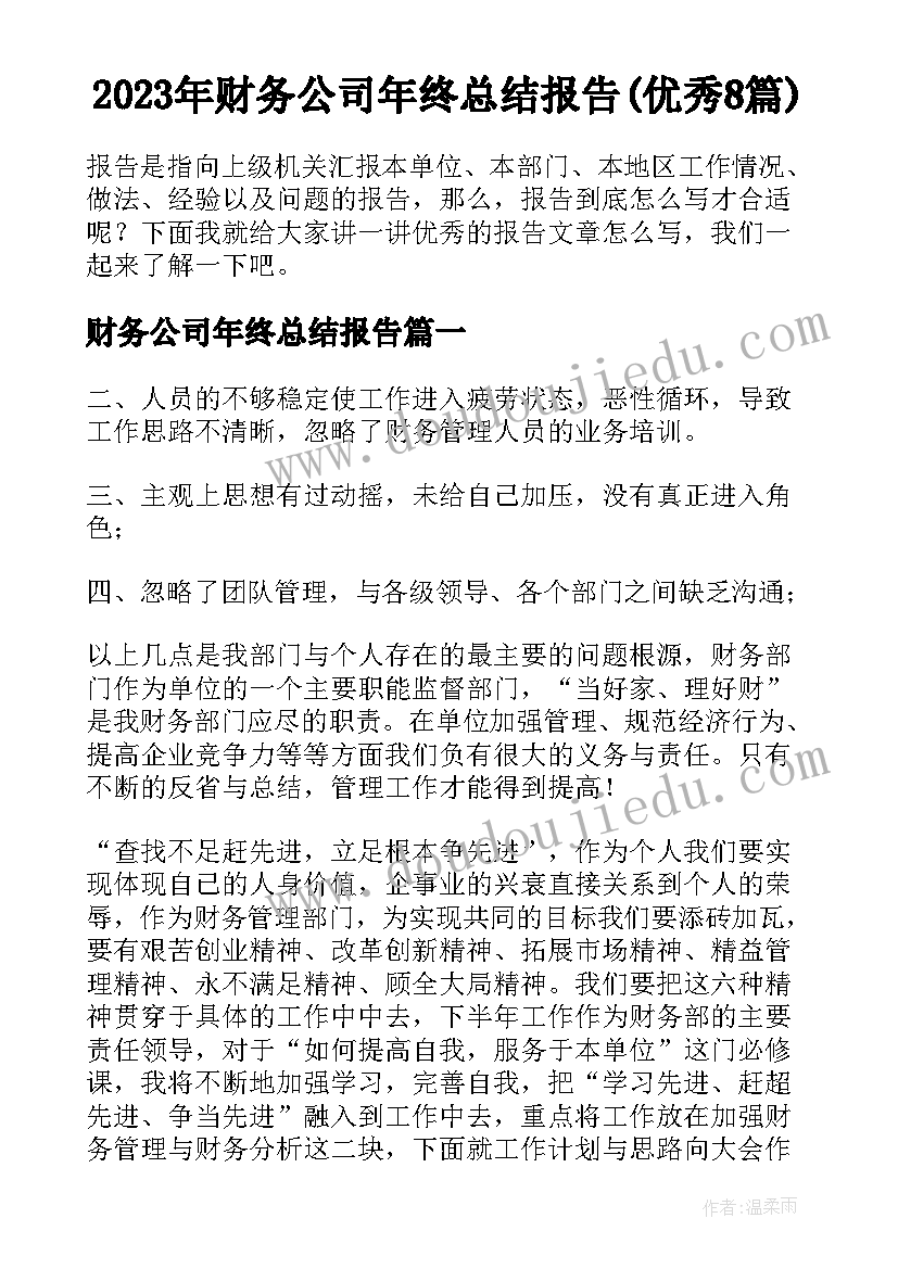 2023年财务公司年终总结报告(优秀8篇)