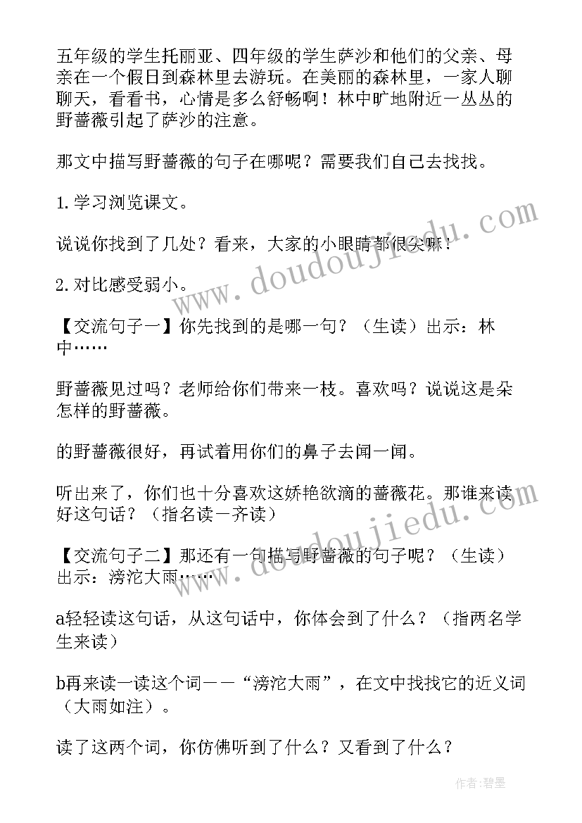 我不是最弱小的教学重难点 我不是最弱小的教案设计(实用6篇)