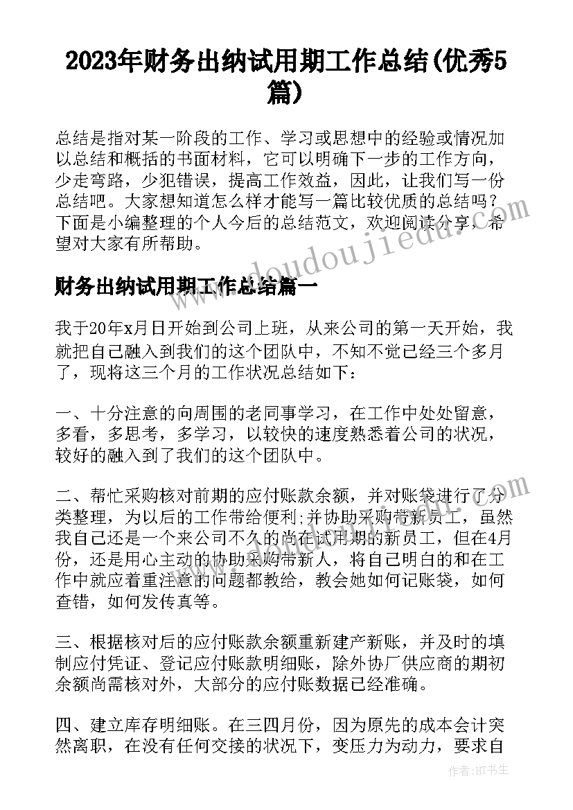 2023年财务出纳试用期工作总结(优秀5篇)