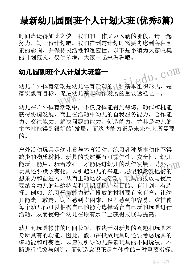 最新幼儿园副班个人计划大班(优秀5篇)