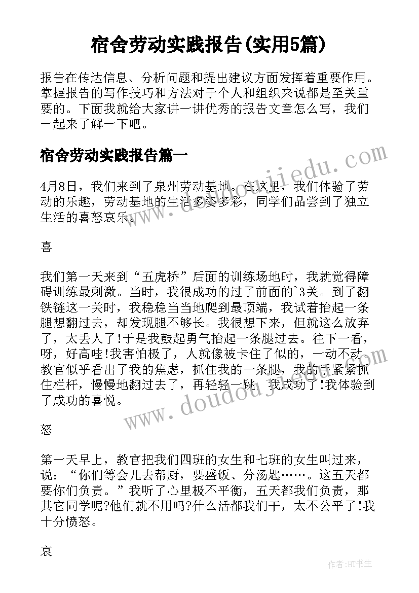 宿舍劳动实践报告(实用5篇)