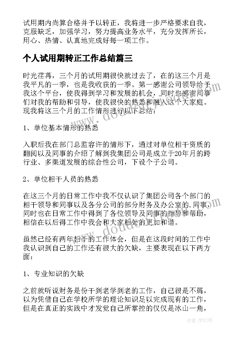 2023年个人试用期转正工作总结(通用7篇)