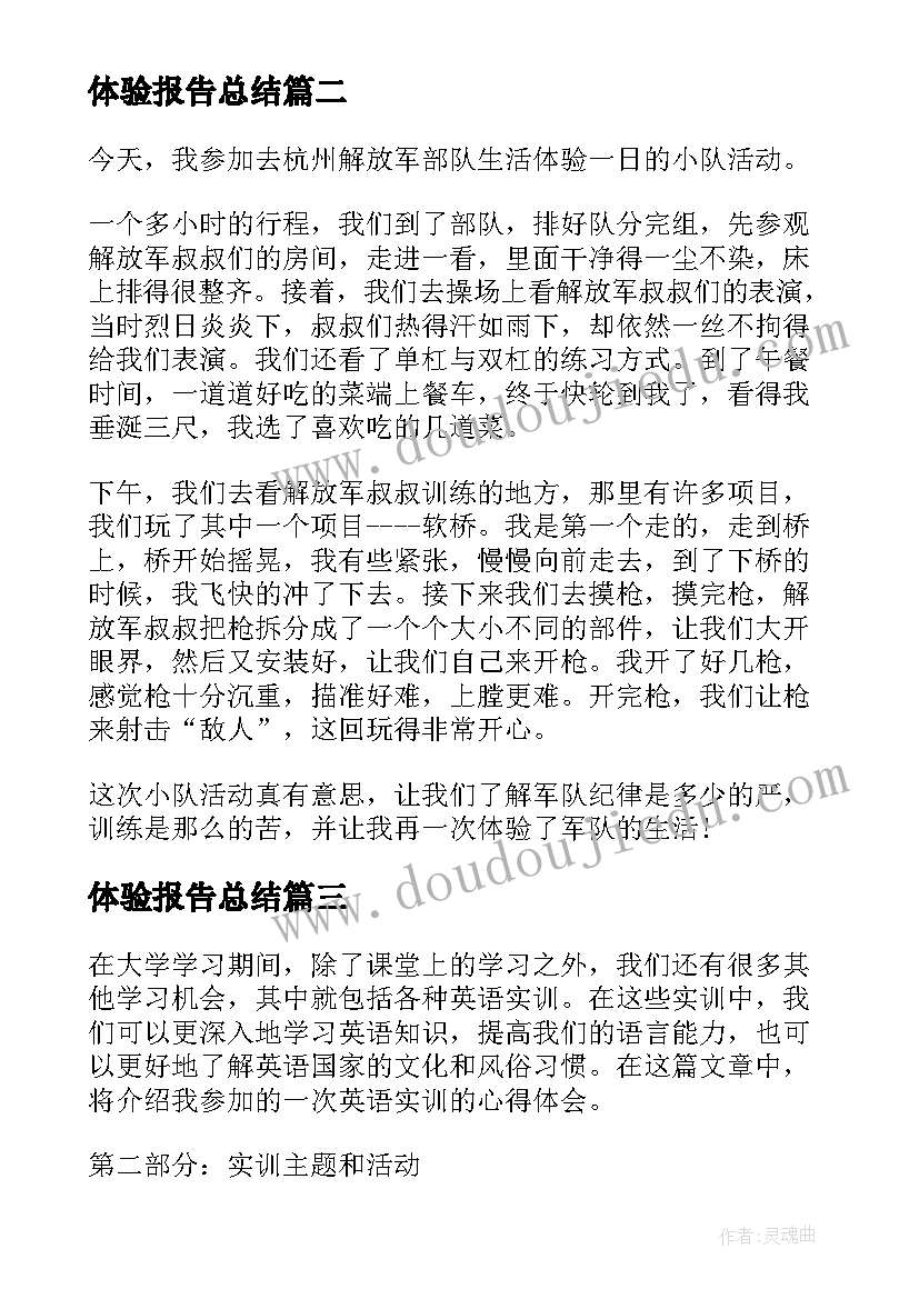 最新体验报告总结(精选9篇)