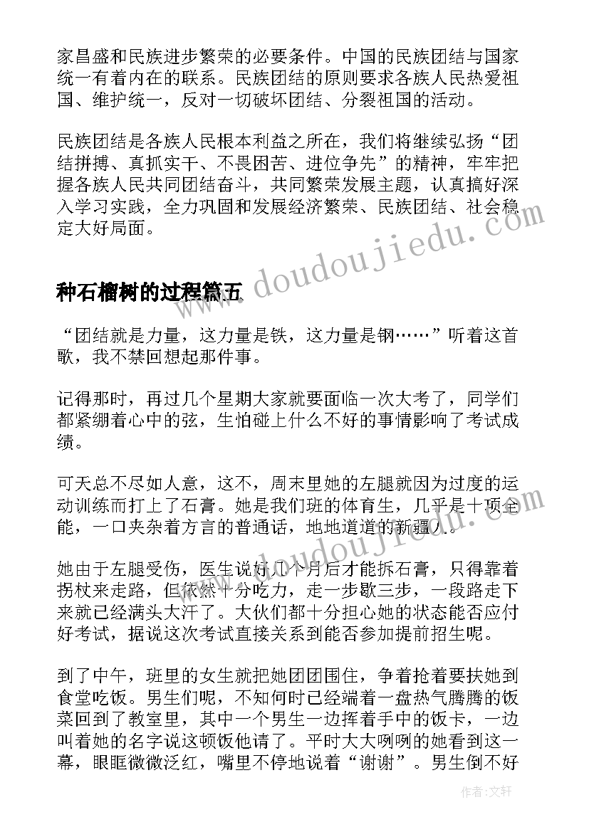 最新种石榴树的过程 种下石榴树开出团结花心得感悟(优质5篇)