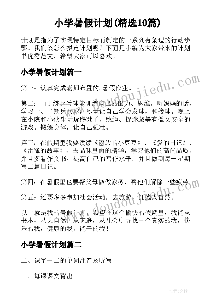 小学暑假计划(精选10篇)