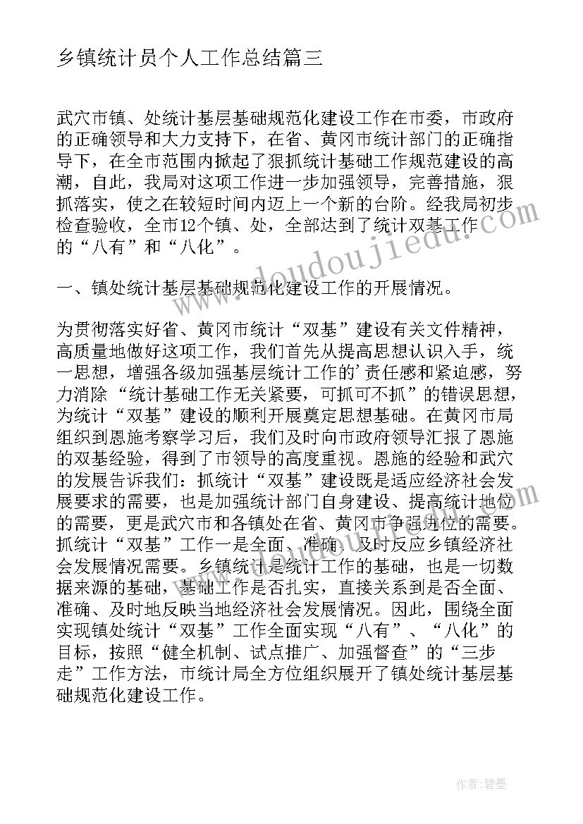 最新乡镇统计员个人工作总结(通用5篇)