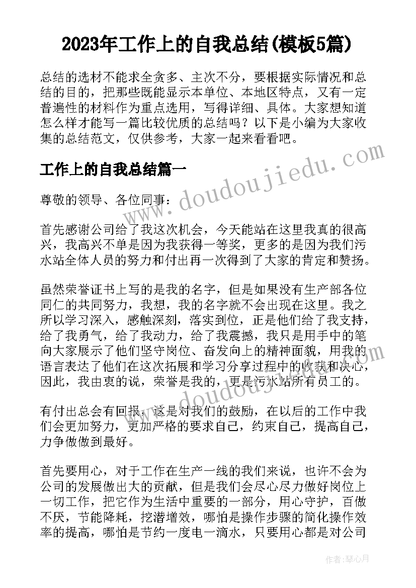 2023年工作上的自我总结(模板5篇)