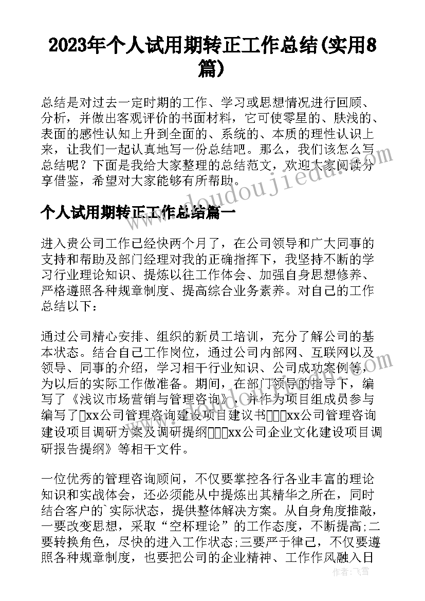 2023年个人试用期转正工作总结(实用8篇)