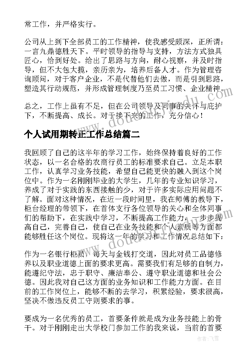 2023年个人试用期转正工作总结(实用8篇)