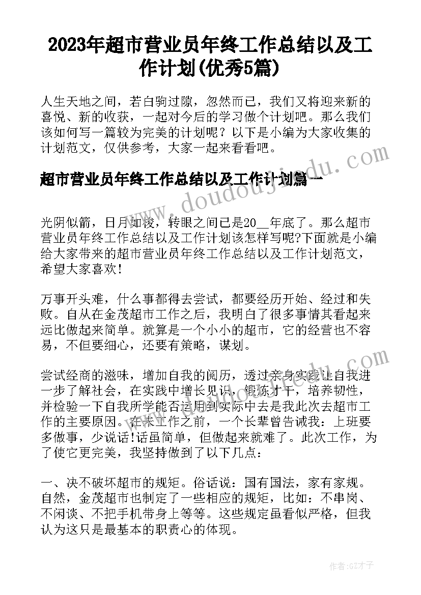 2023年超市营业员年终工作总结以及工作计划(优秀5篇)