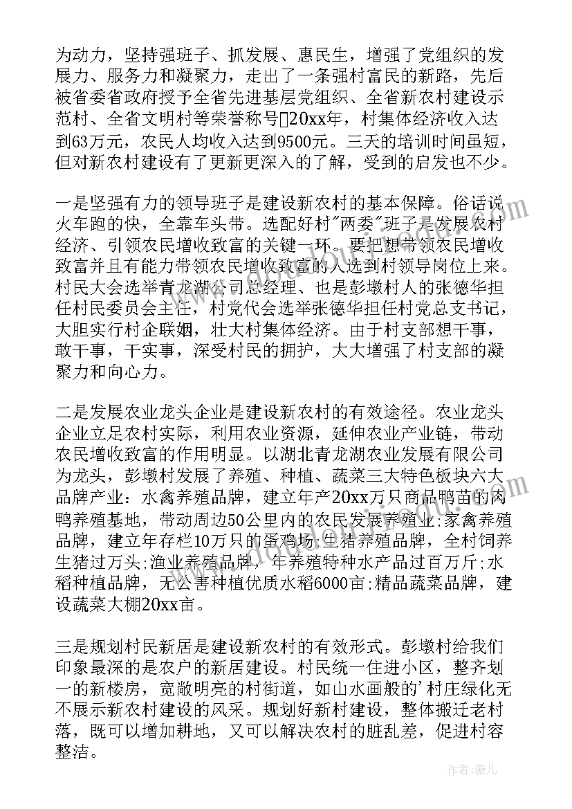 最新乡村建设行动心得体会 乡村建设重在行动心得体会(实用5篇)