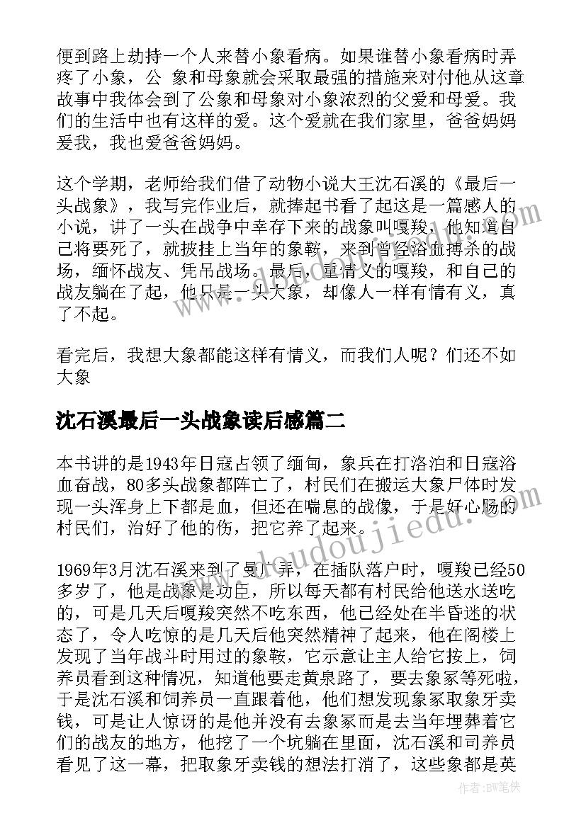 2023年沈石溪最后一头战象读后感(优秀7篇)