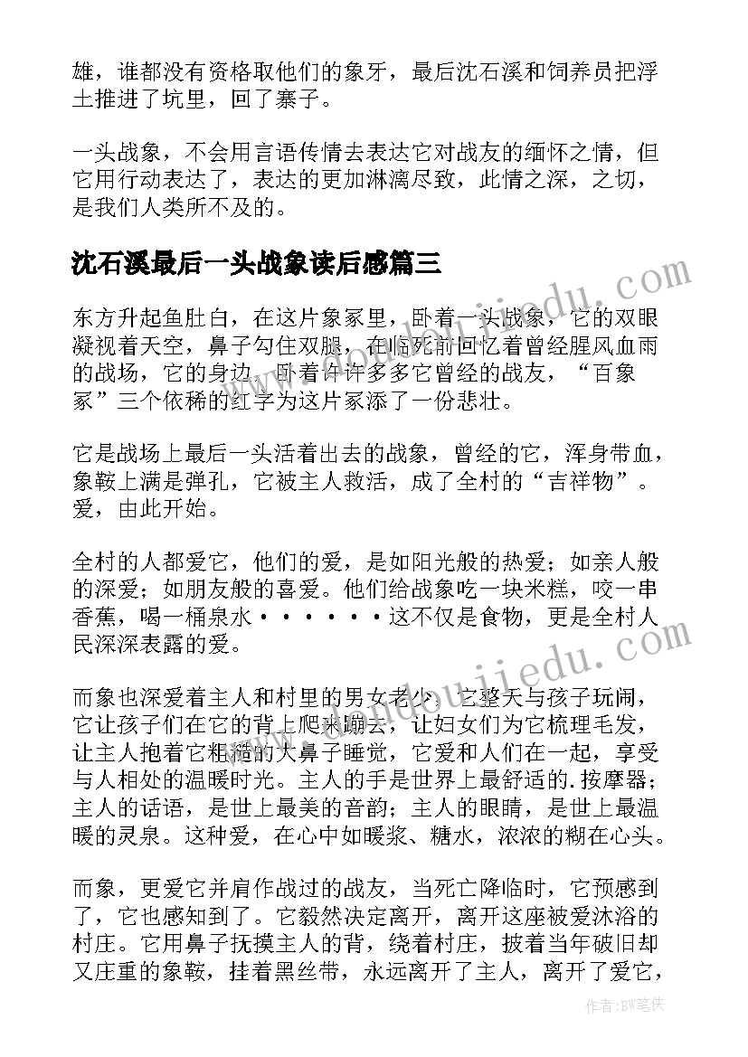 2023年沈石溪最后一头战象读后感(优秀7篇)