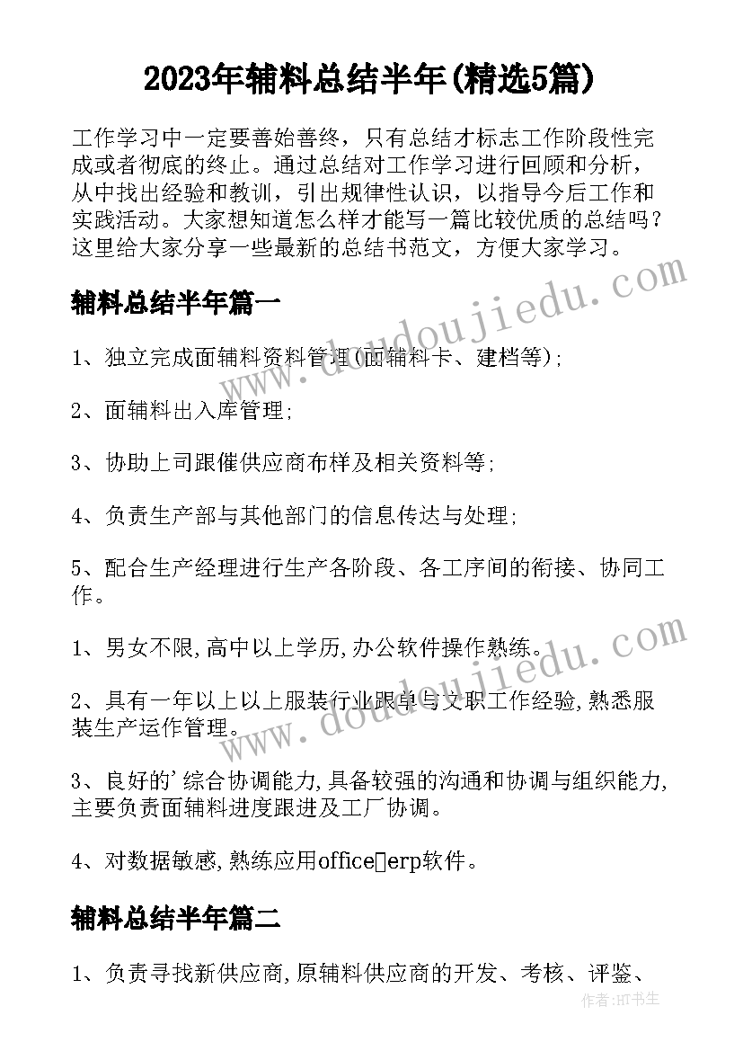 2023年辅料总结半年(精选5篇)