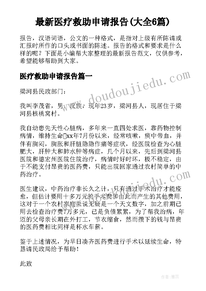 最新医疗救助申请报告(大全6篇)